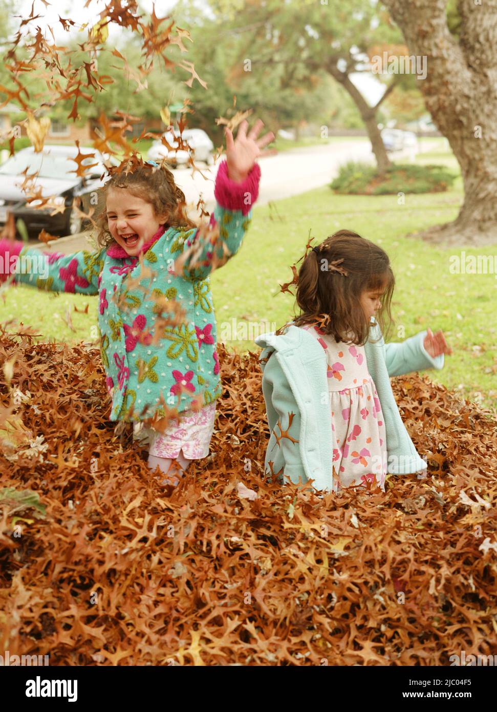 Little girls playing in the autumn leaves Stock Photo - Alamy