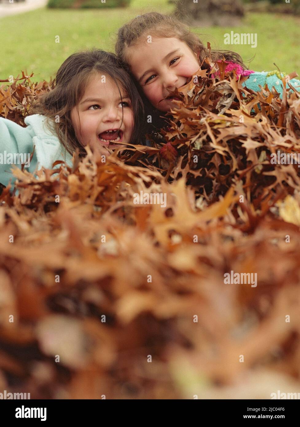 Little girls playing in the autumn leaves Stock Photo - Alamy