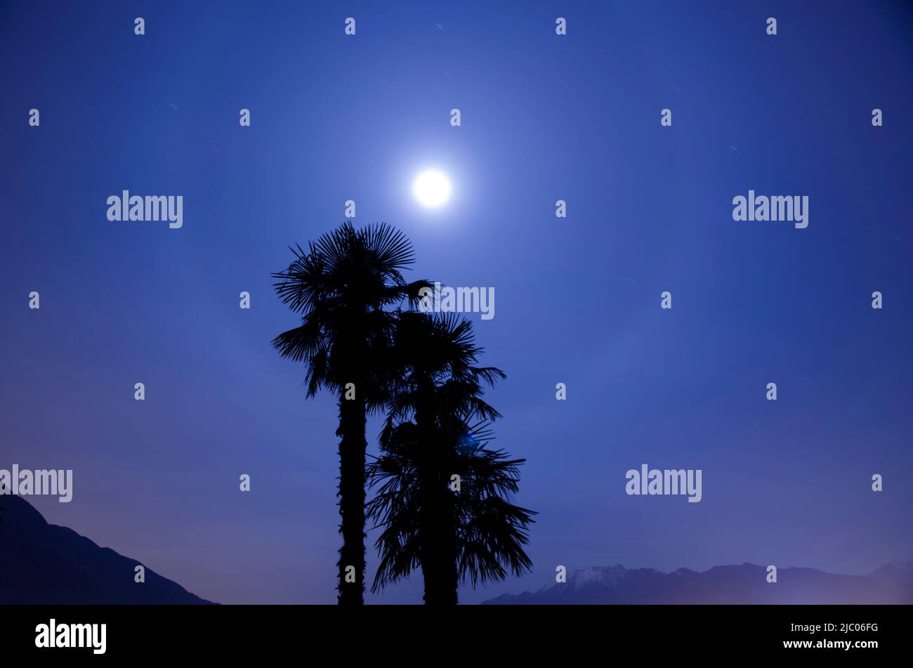 Palm Trees and Full Moon with Halo in Ticino, Switzerland. Stock Photo
