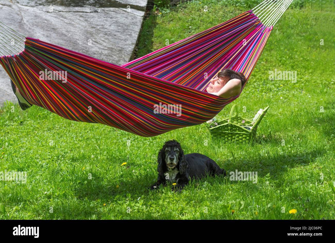 Pet hammock hi-res stock photography and images - Page 12 - Alamy