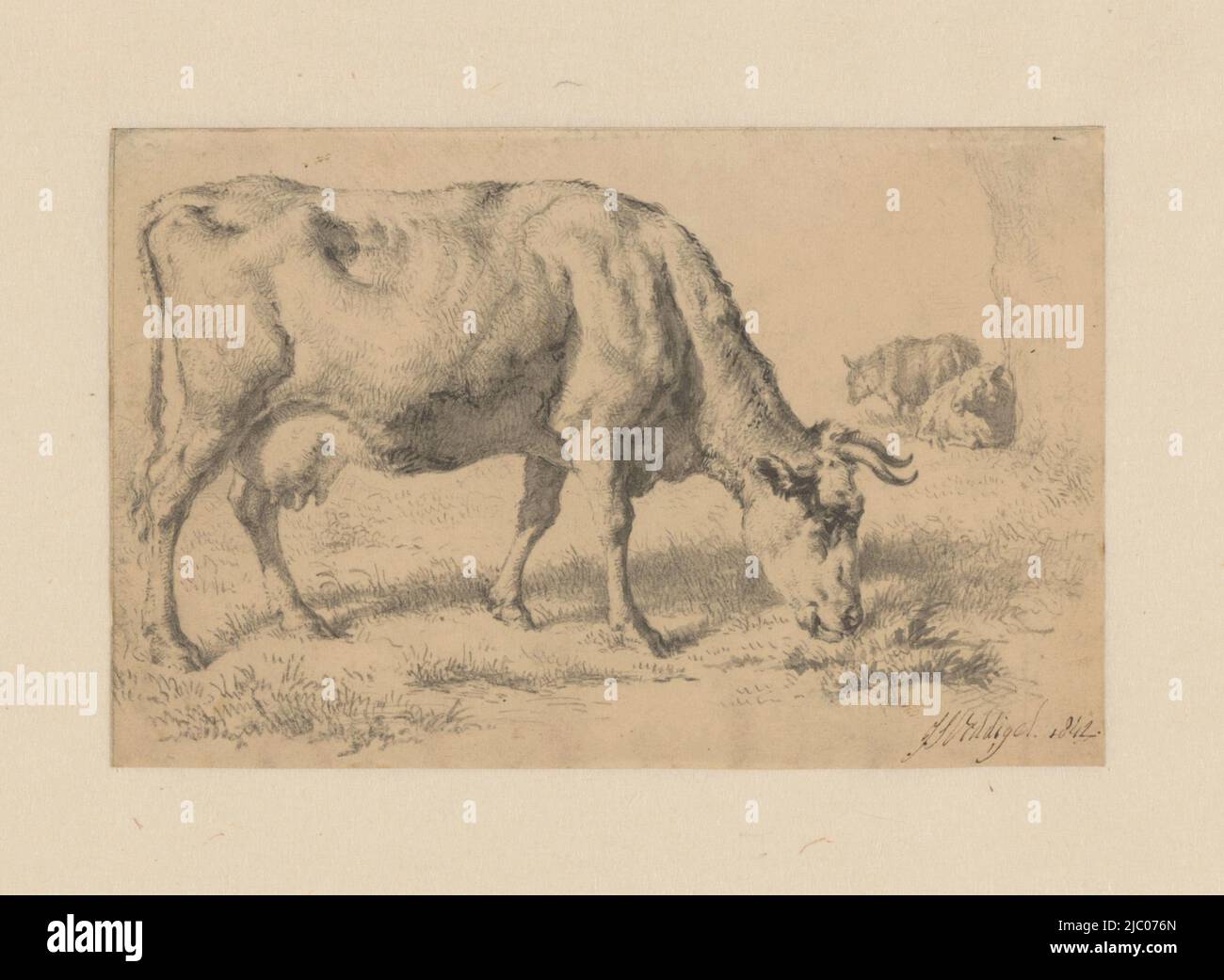 A grazing cow in a meadow with two sheep in the background, Grazing cow in a meadow, draughtsman: Jan Simon Voddigel, 1842, paper, brush, h 110 mm × w 171 mm Stock Photo