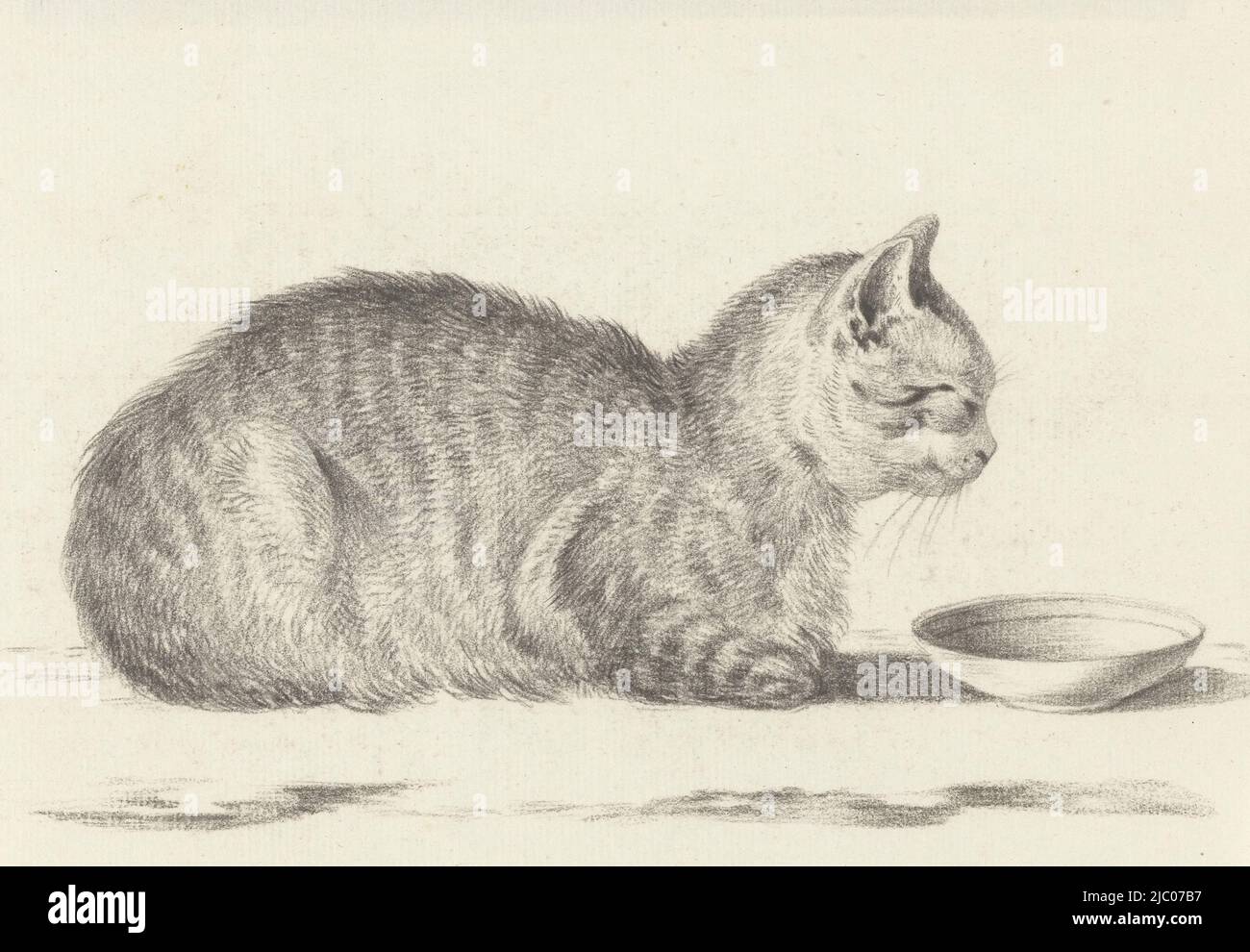 Reclining cat, to the left, in front of a saucer, draughtsman: Jean Bernard, 1812, paper, h 141 mm × w 195 mm Stock Photo