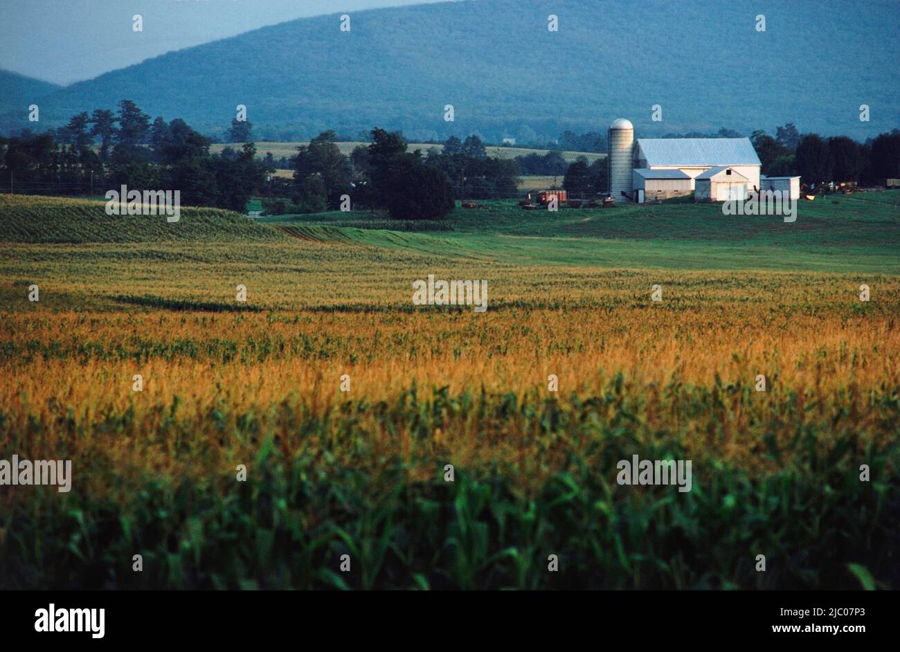 Farmhouse and silo in a field, Lancaster, Lancaster County