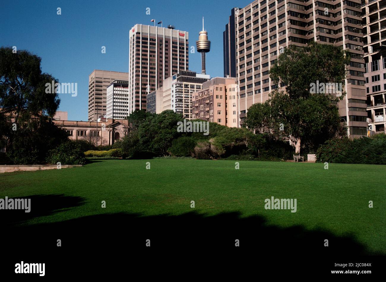 Tower in a city, Centrepoint Tower, Sydney, New South Wales, Australia Stock Photo