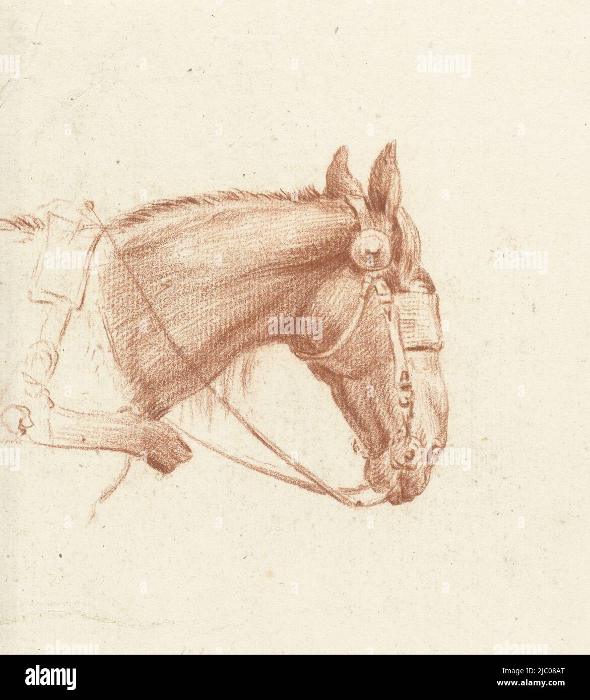Head of a horse with blinders, to the right, draughtsman: Jean Bernard, 1775 - 1833, paper, h 167 mm × w 150 mm Stock Photo