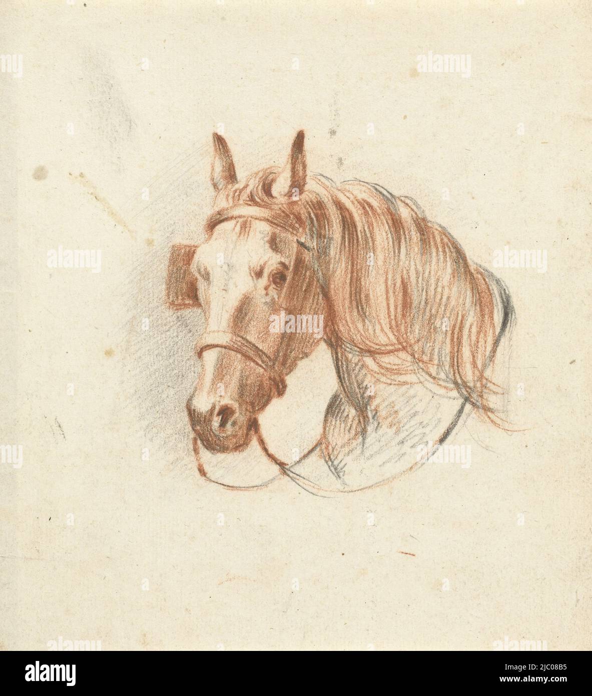 Head of a horse with blinders, from the front, draughtsman Jean
