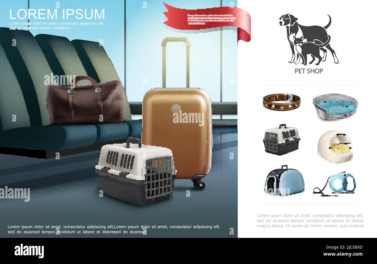 Realistic travel with pets template with collar leash bag transport