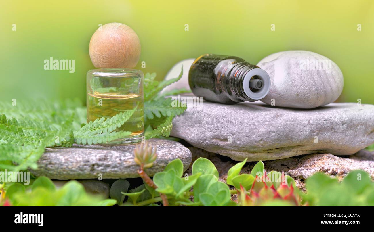 background; alternative; aromatherapy; bottle; care; essential; herbal; plant; fern; medicinal; natural; oil; green; therapy; wellness; healthy; folia Stock Photo