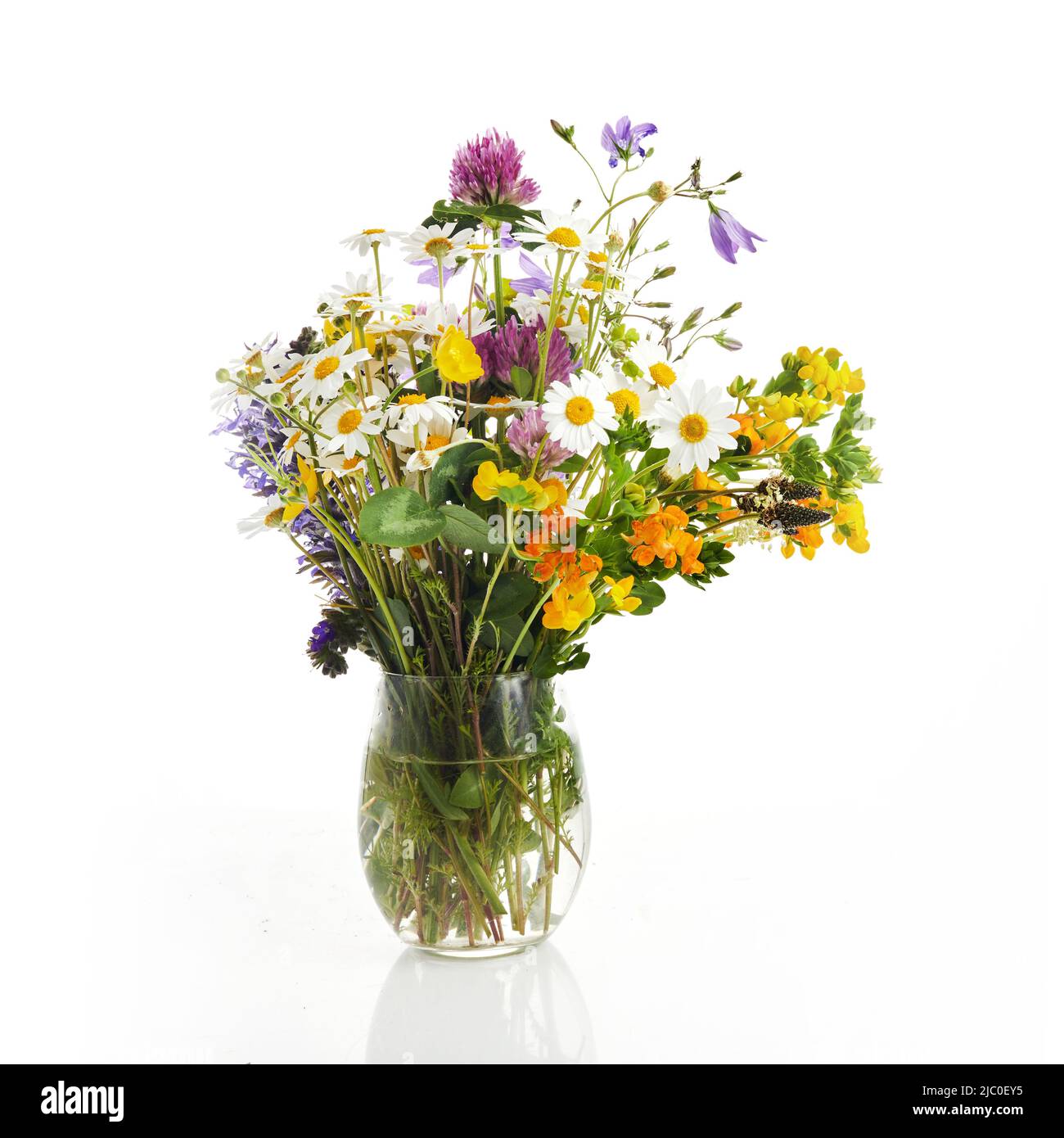Beautiful bouquet of wildflowers isolated on white Stock Photo - Alamy
