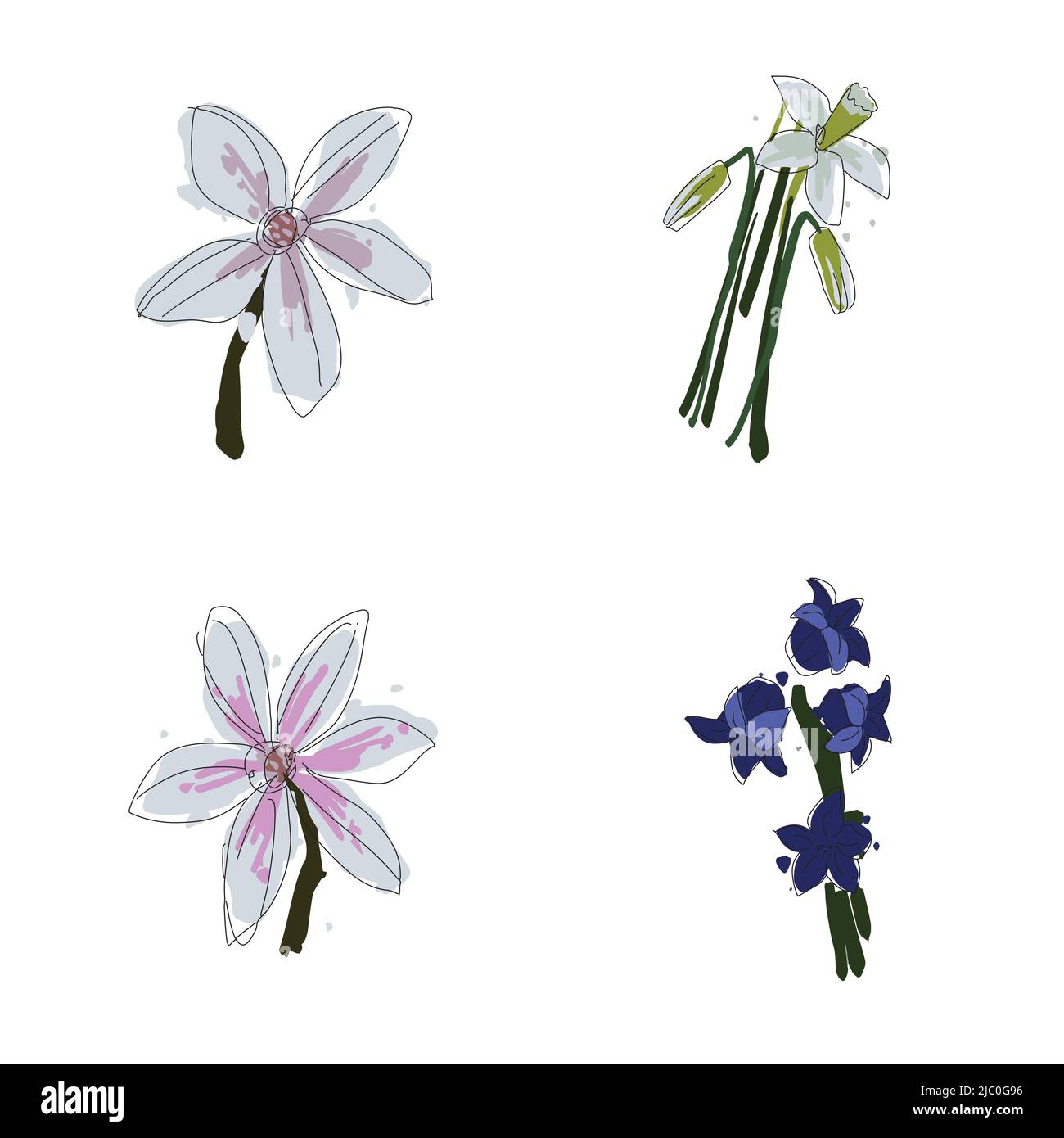 Set of vector hand painted flowers and leaves Stock Vector Image & Art ...