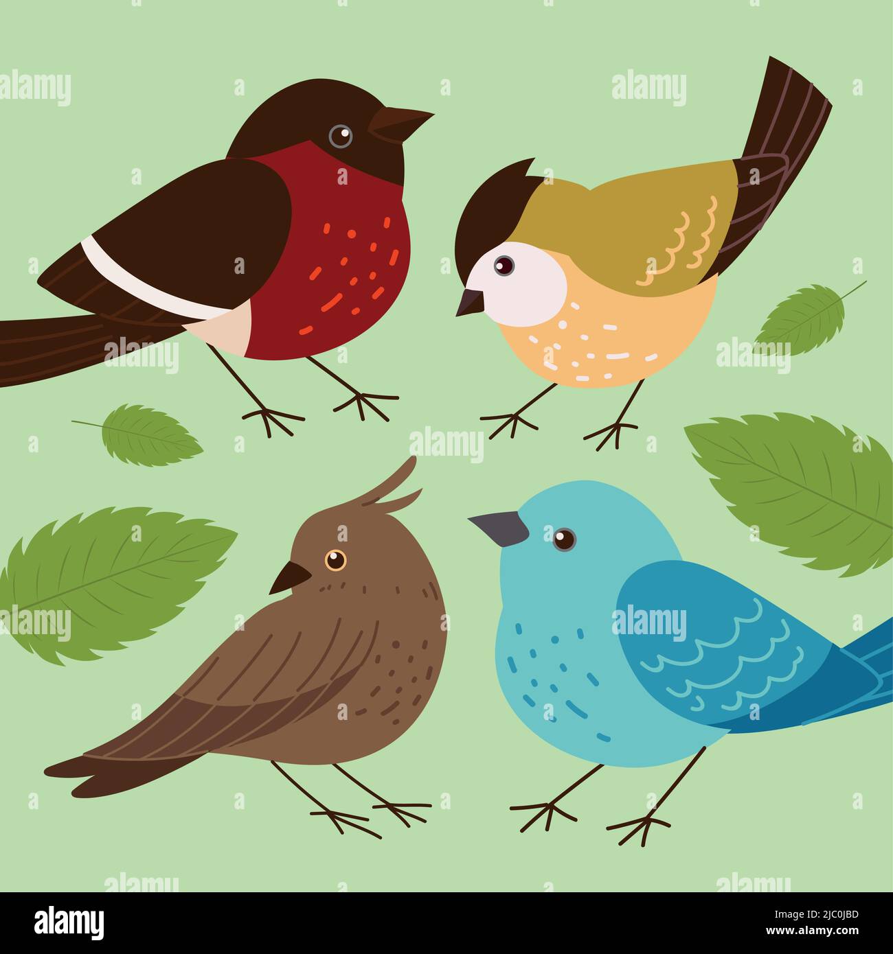 set of birds Stock Vector Image & Art - Alamy
