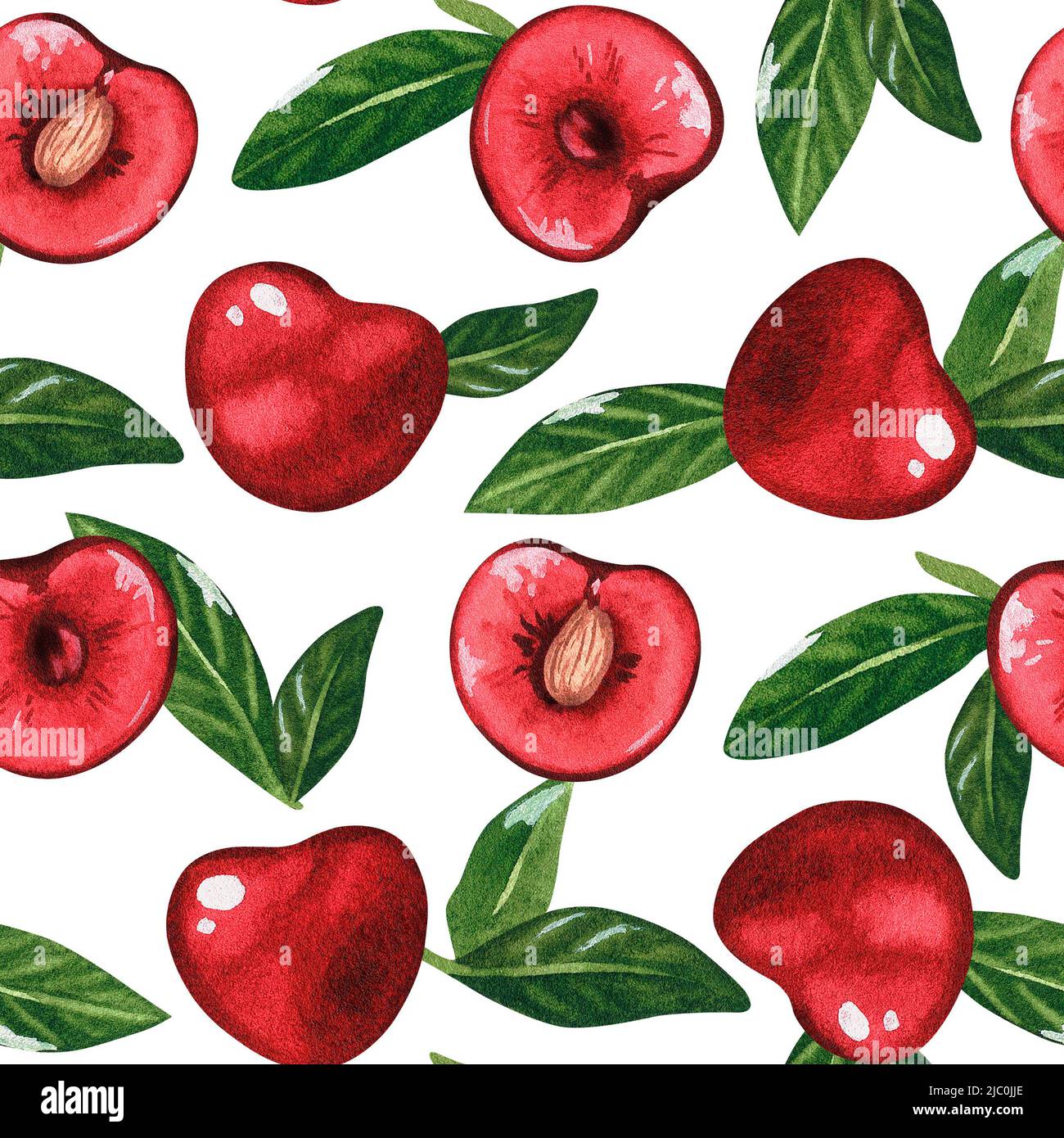 Cherry Seamless Pattern. Watercolor illustration. Isolated on a white ...