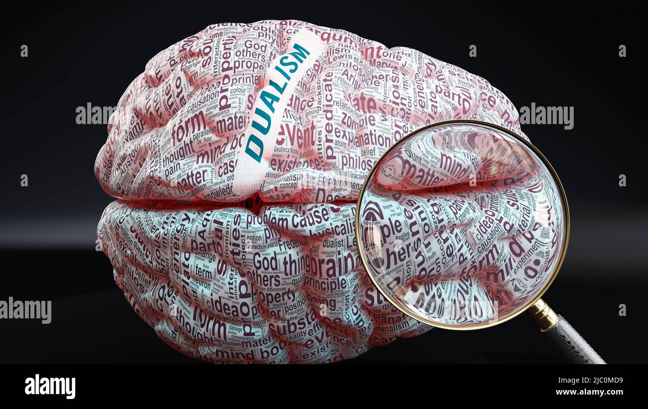Dualism in human brain, a concept showing hundreds of crucial words related to Dualism projected onto a cortex to fully demonstrate broad extent of th Stock Photo