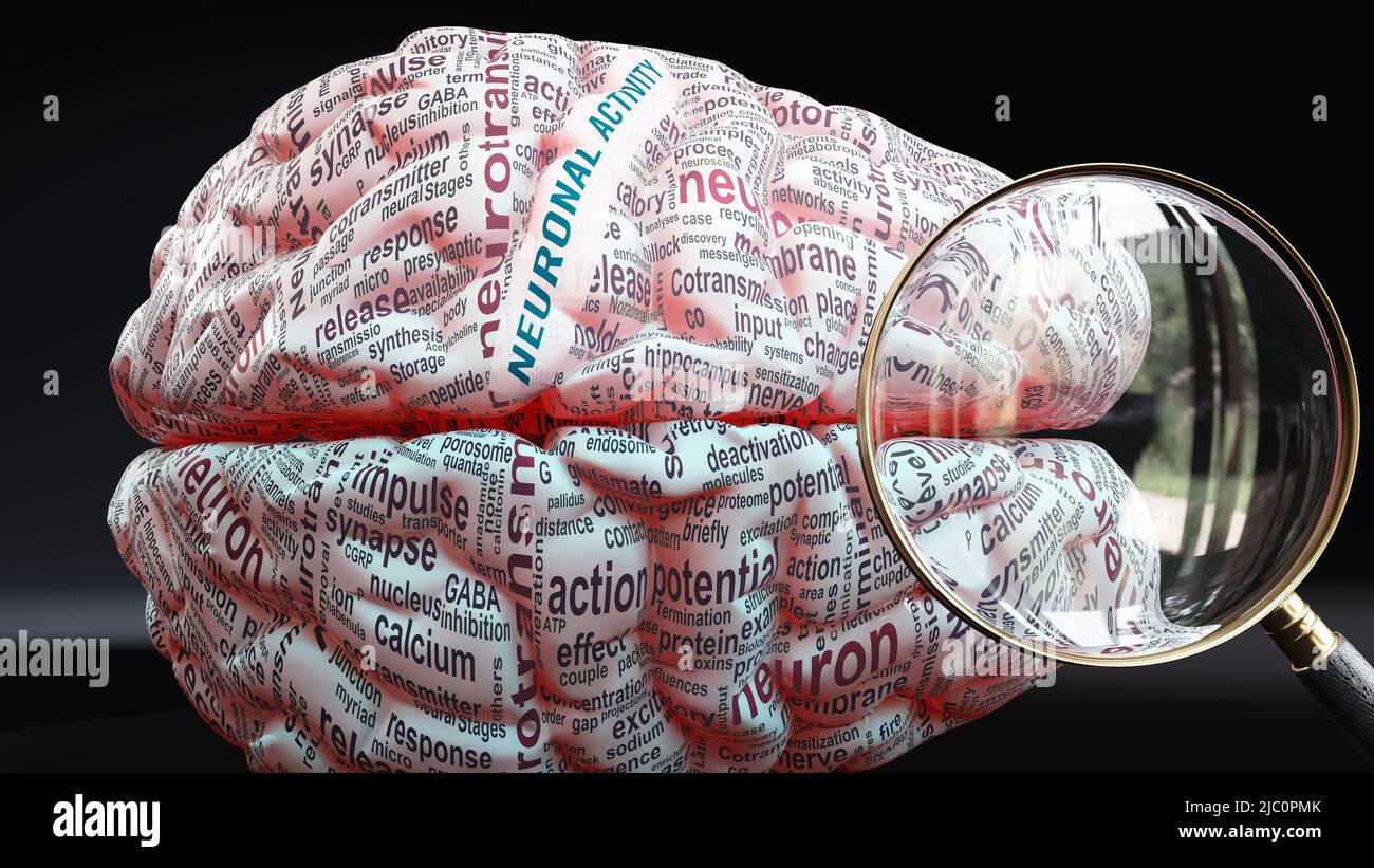 Neuronal activity in human brain, a concept showing hundreds of crucial ...