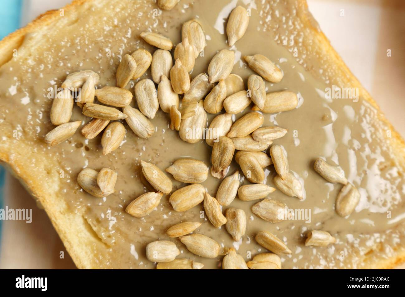 Homemade sunflower seeds butter or spread. Sunflower butter is a new