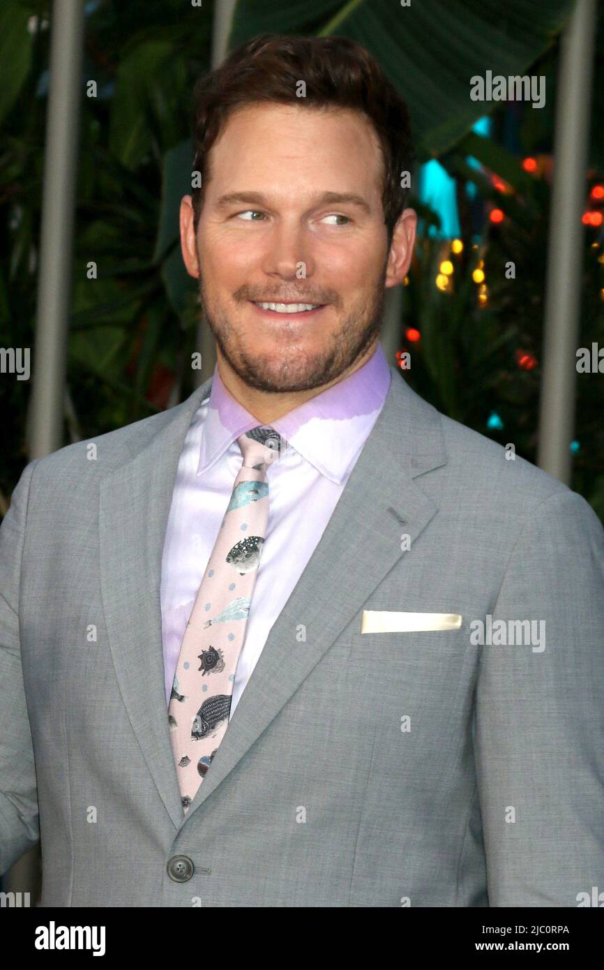 June 6, 2022, Los Angeles, CA, USA: LOS ANGELES - JUN 6:  Chris Pratt at the Jurassic World Dominion World Premiere at TCL Chinese Theater IMAX on June 6, 2022 in Los Angeles, CA (Credit Image: © Kay Blake/ZUMA Press Wire) Stock Photo