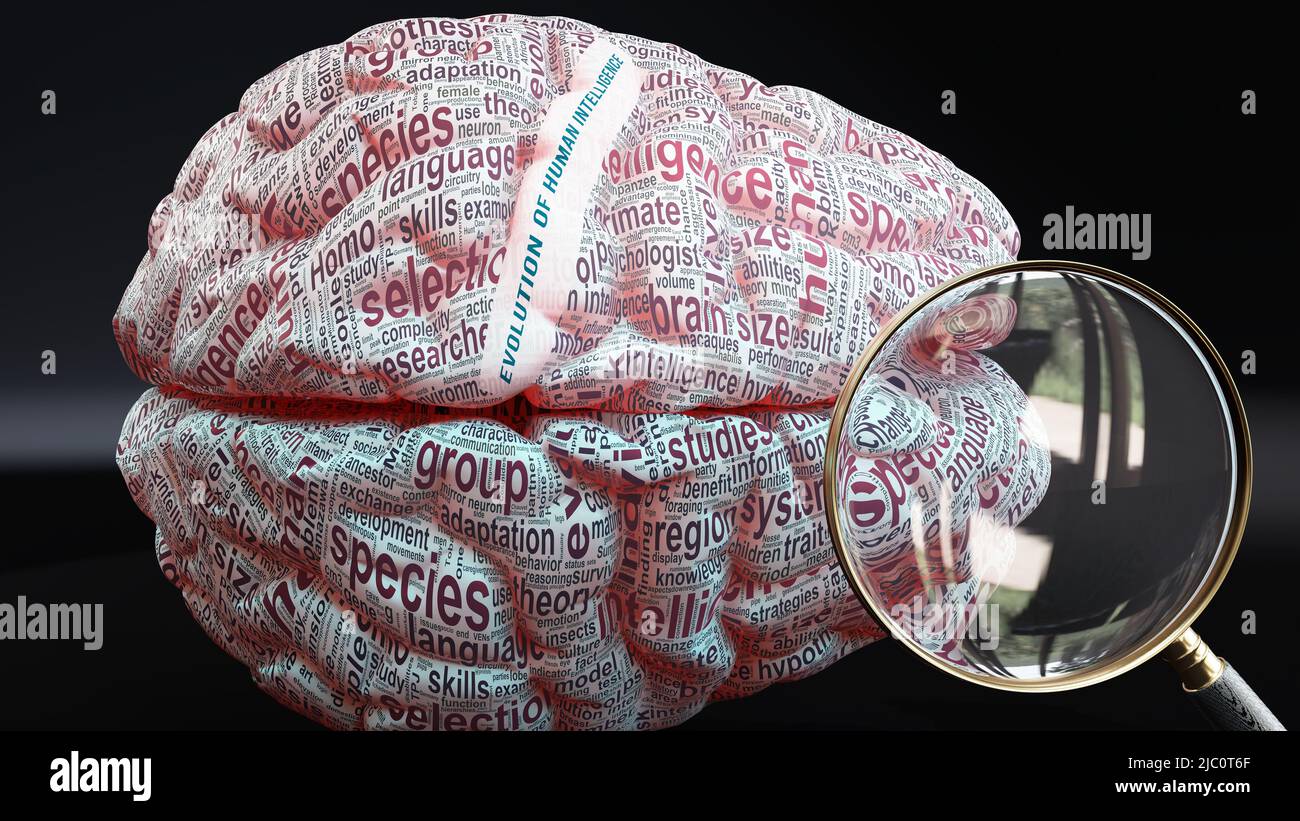 Evolution of human intelligence in human brain, hundreds of terms ...