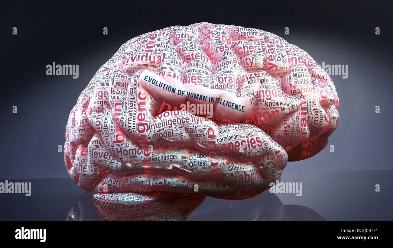 Evolution of human intelligence in human brain, hundreds of terms ...