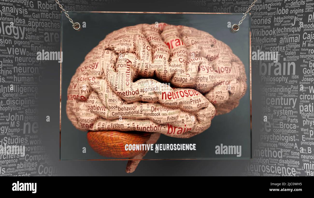 Cognitive neuroscience in human brain - dozens of terms describing its properties painted over the brain cortex to symbolize its connection to the min Stock Photo