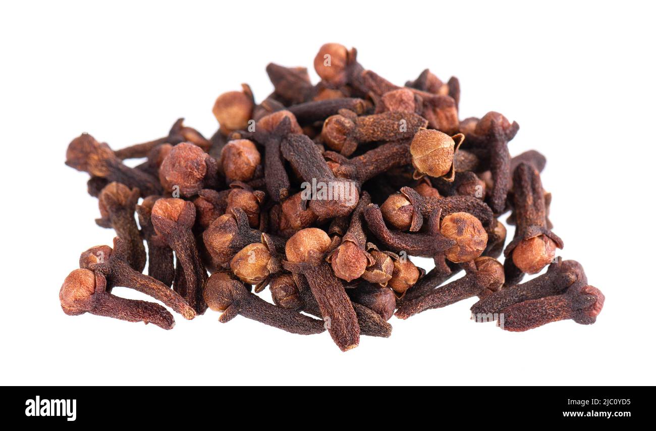 Dry cloves isolated on white background. Cloves spice. Spices and herbs