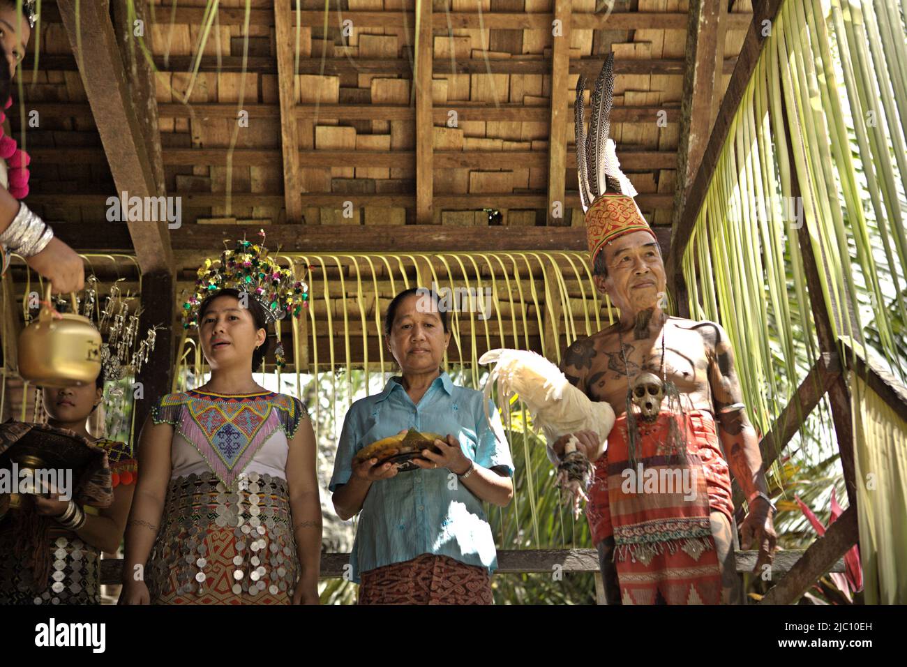 Ramping, an elder, holding a white chicken as a symbol of sincerity during  a welcome ceremony in an ecotourism event at the longhouse of traditional  Dayak Iban community in Sungai Utik, Batu