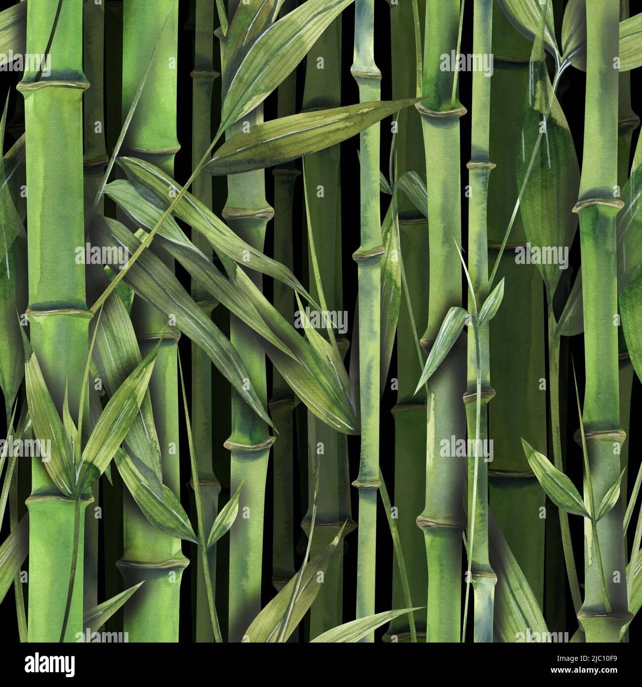 Watercolor illustration seamless pattern of bamboo. Stems, leaves in the rhythm of the jungle thickets. For textiles, fabrics, wallpaper, background Stock Photo