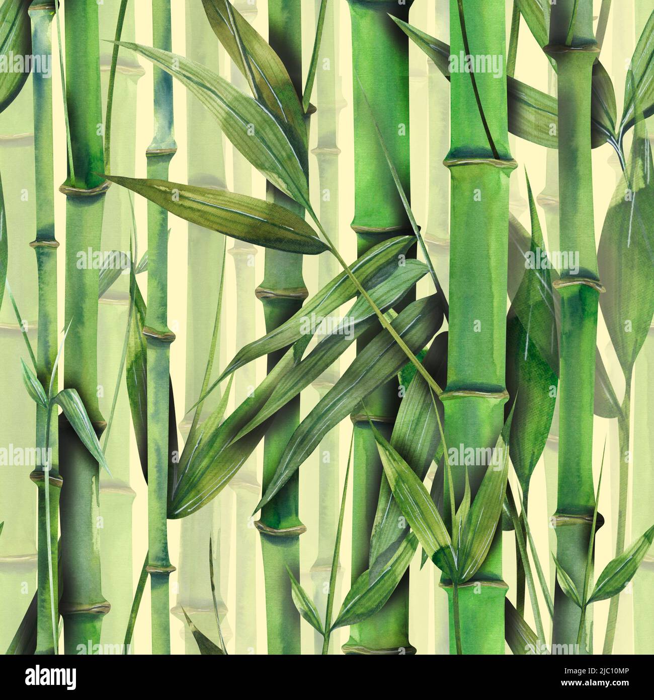 Watercolor illustration seamless pattern of bamboo. Stems, leaves in the rhythm of the jungle thickets. For textiles, fabrics, wallpaper, background Stock Photo