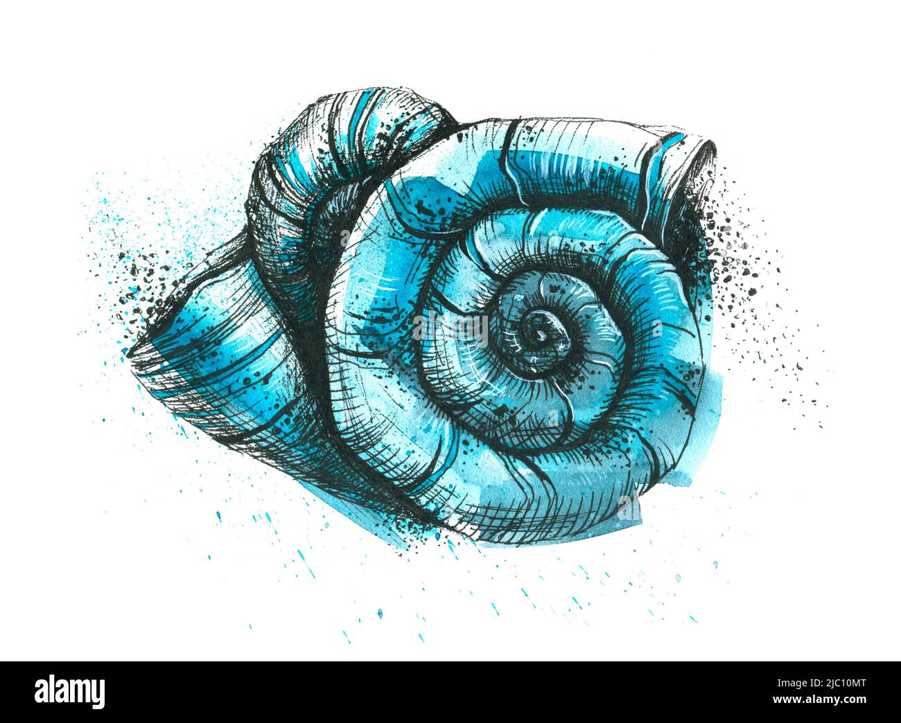 Blue Shell Drawigs Watercolor illustration with graphics. A hand-drawn blue shell with ...