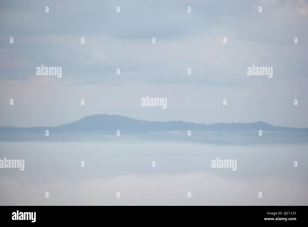 Fog over the forest in early morning Stock Photo - Alamy