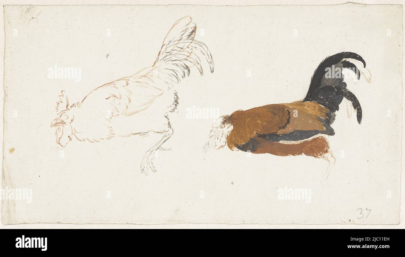 H 139 mm w 250 mm hires stock photography and images Alamy