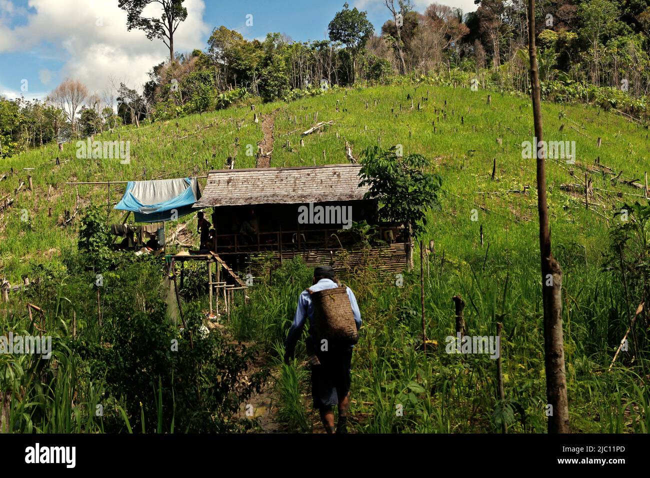Indigenous rattan bag hi-res stock photography and images - Alamy