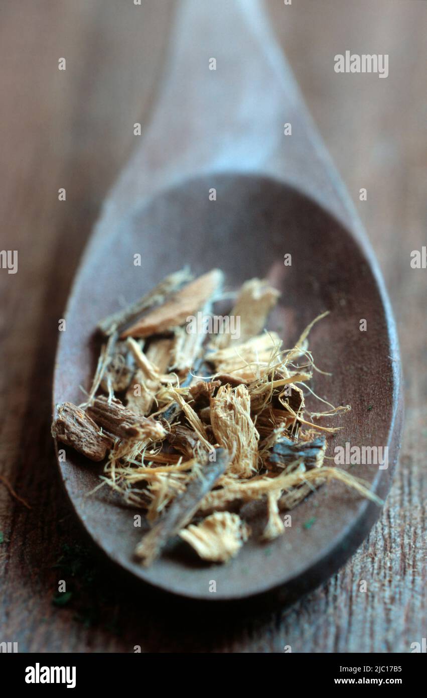 common liquorice, cultivated licorice, licorice, liquorice, sweet licorice, sweet wood, true