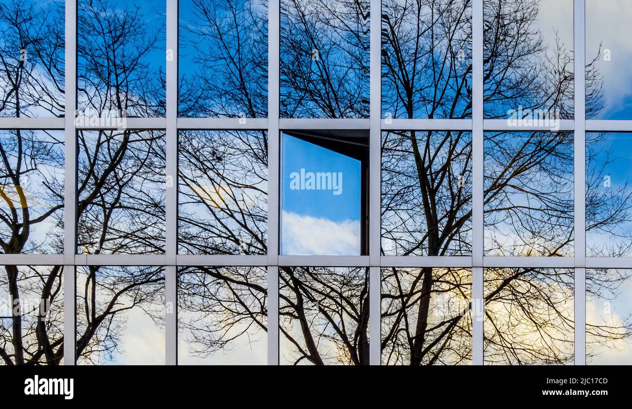 tree reflected in glass facade with open window, Austria Stock Photo
