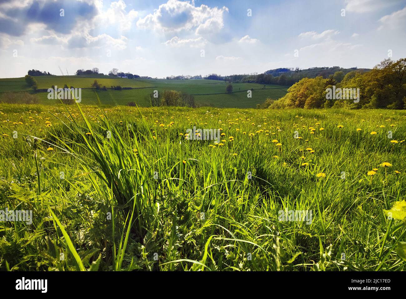 Landscape at the Wixberg in spring, Germany, North Rhine-Westphalia, Sauerland, Iserlohn Stock Photo