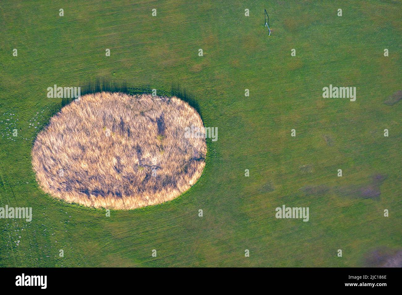 Circle in field scenery, 04/18/2022, aerial view, Germany, Lower Saxony Stock Photo