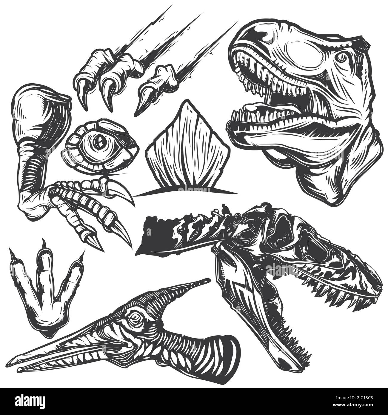 Set of dino's elements for creating your own badges, logos, labels, posters etc. Isolated on white. Stock Vector