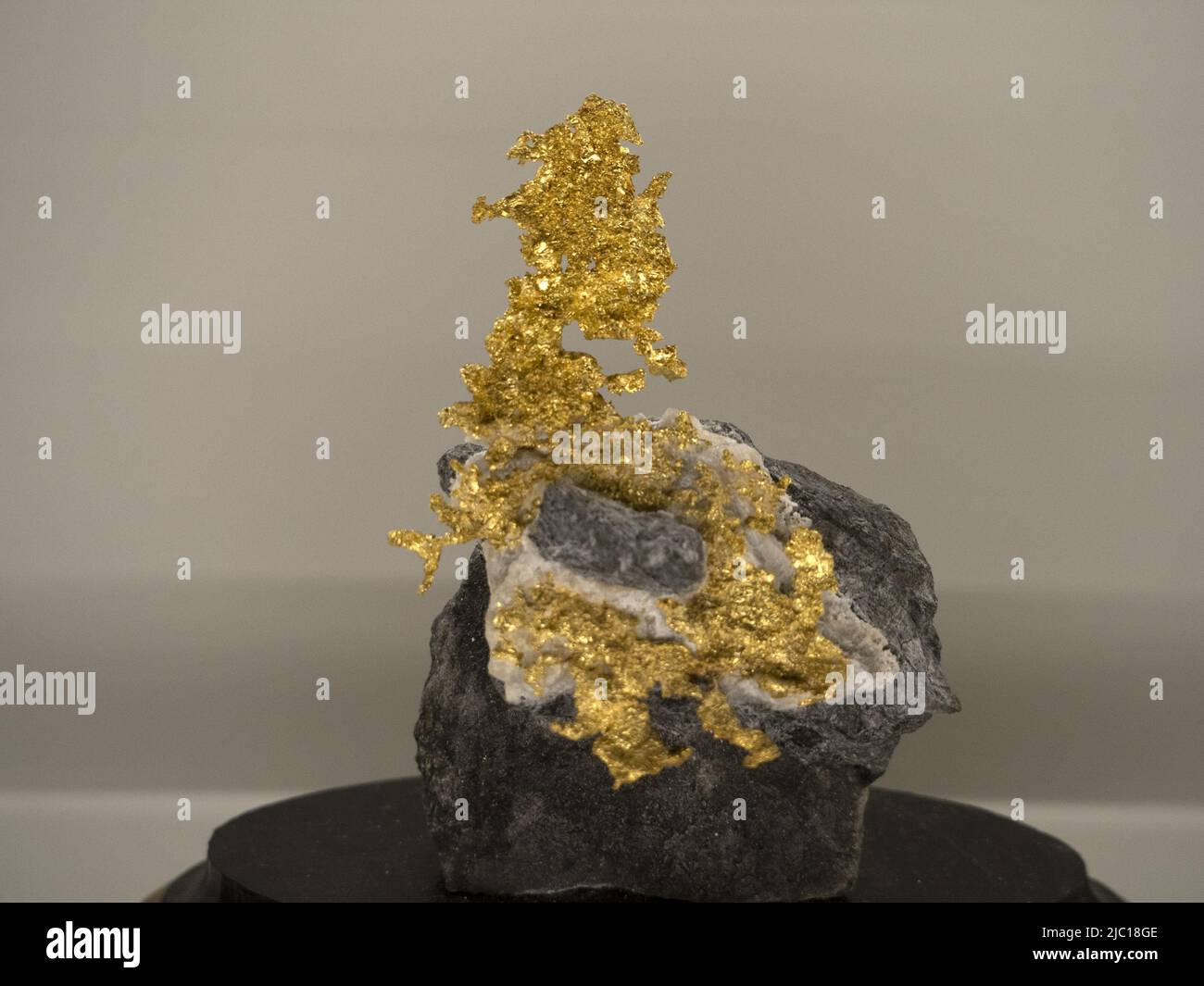 Natural golden gold nugget detail close up Stock Photo - Alamy