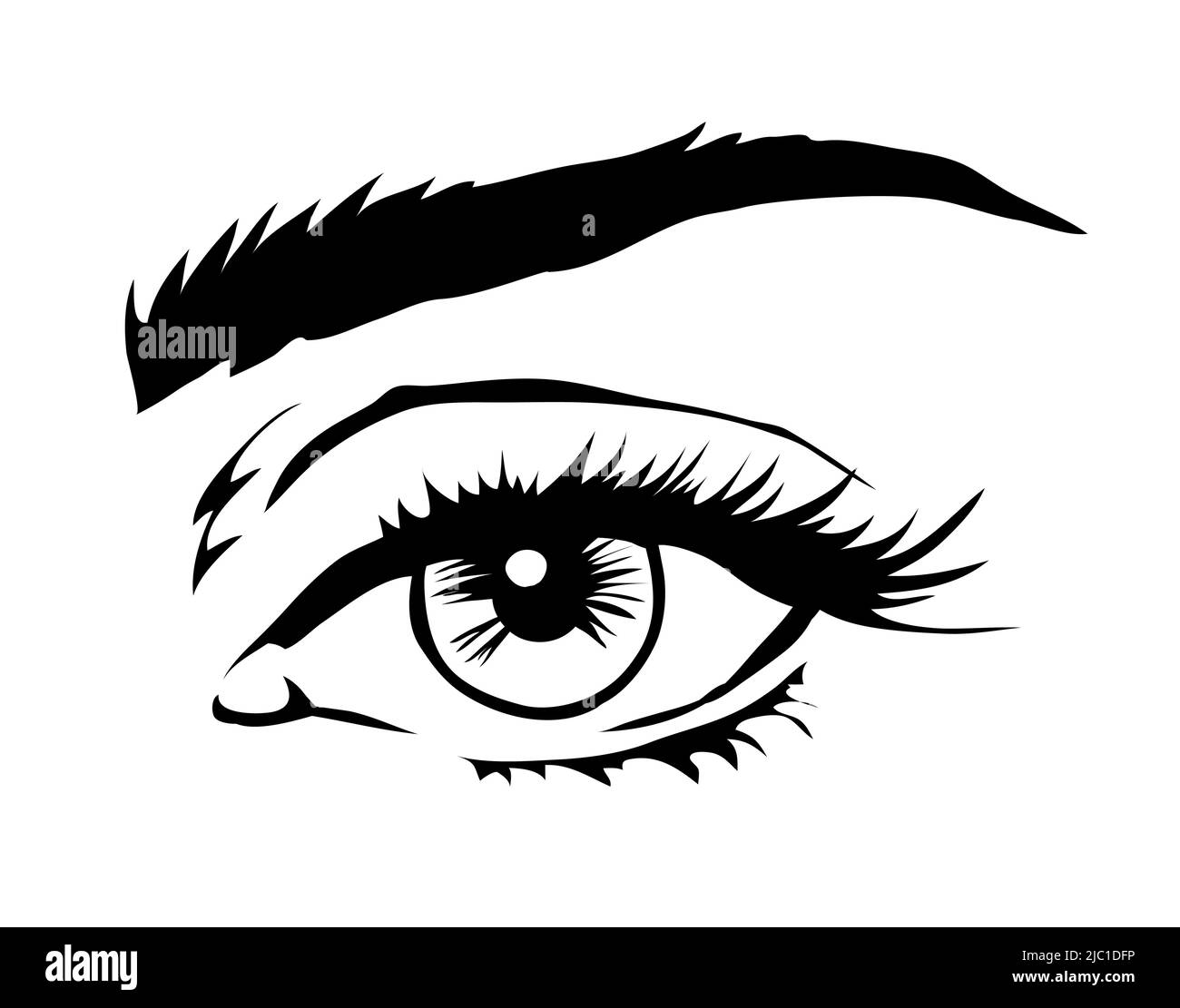 Eyes Drawing Images – Browse 1,780,240 Stock Photos, Vectors, and Video |  Adobe Stock