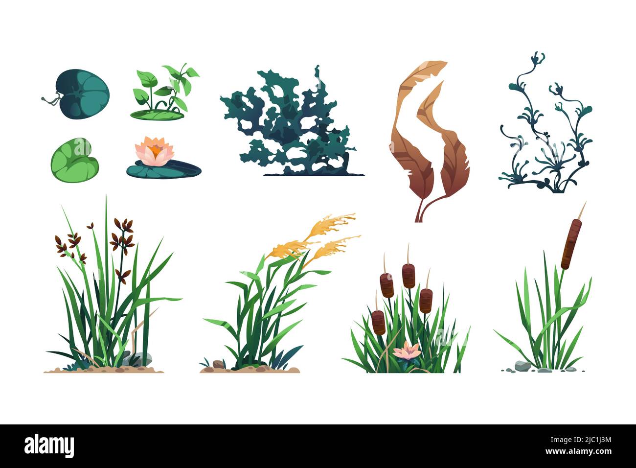 Lake plants. Pond flora and swamp botany game asset with reed, cattails, and bulrush, wetland water leafy plants. Vector isolated set Stock Vector