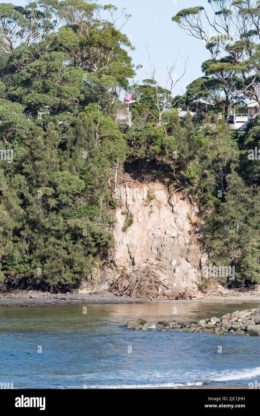 Evidence of a landslide with soil, rocks and vegetation having