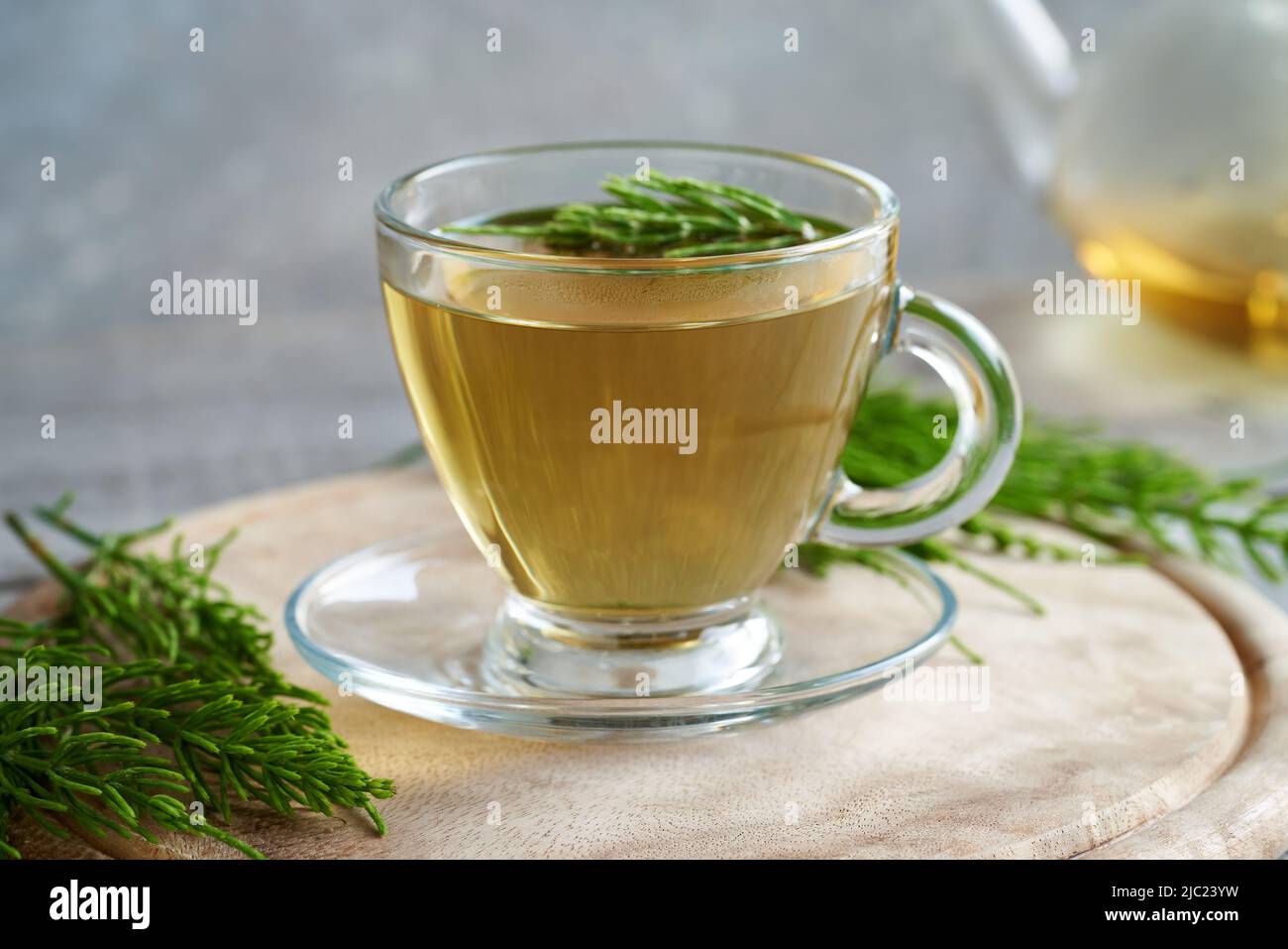 Horsetail tea with fresh Equisetum arvense plant Stock Photo Alamy