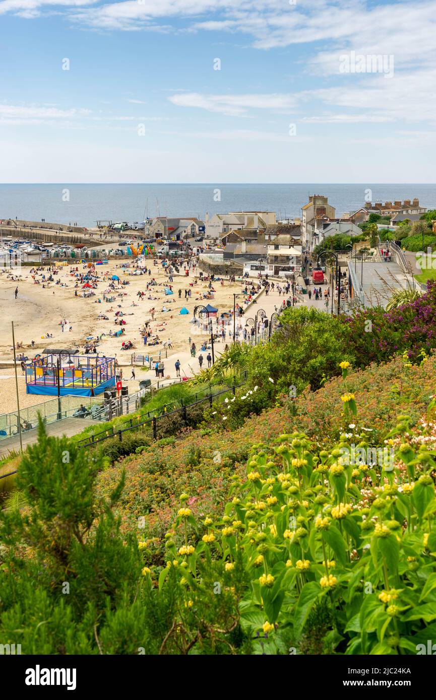 Lyme Regis Harbour, in the sunshine from above, Dorset, England Stock