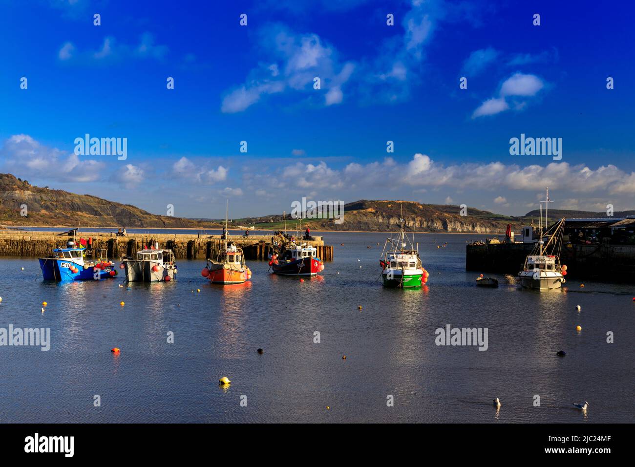 A collection of colourful fishing boats in the harbour on a winter high