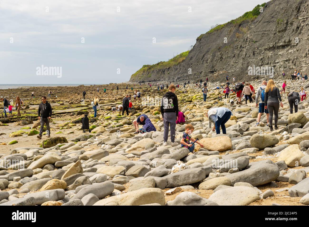Fossil Hunting on the beach at Lyme Regis, Dorset, England Stock Photo
