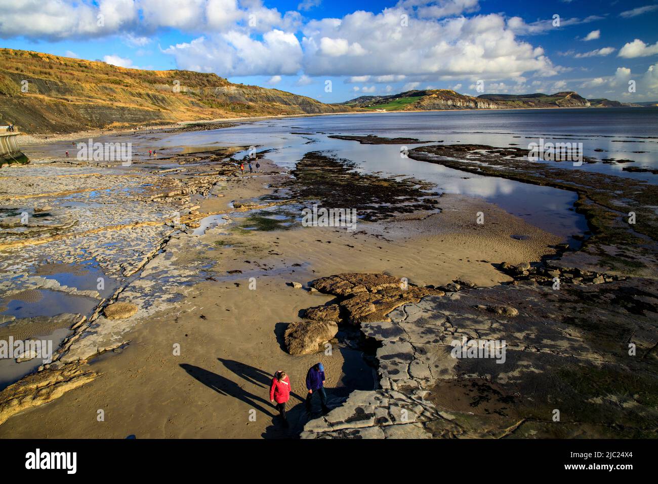 Walkers on the beach at low tide at Lyme Regis on the Jurassic Coast