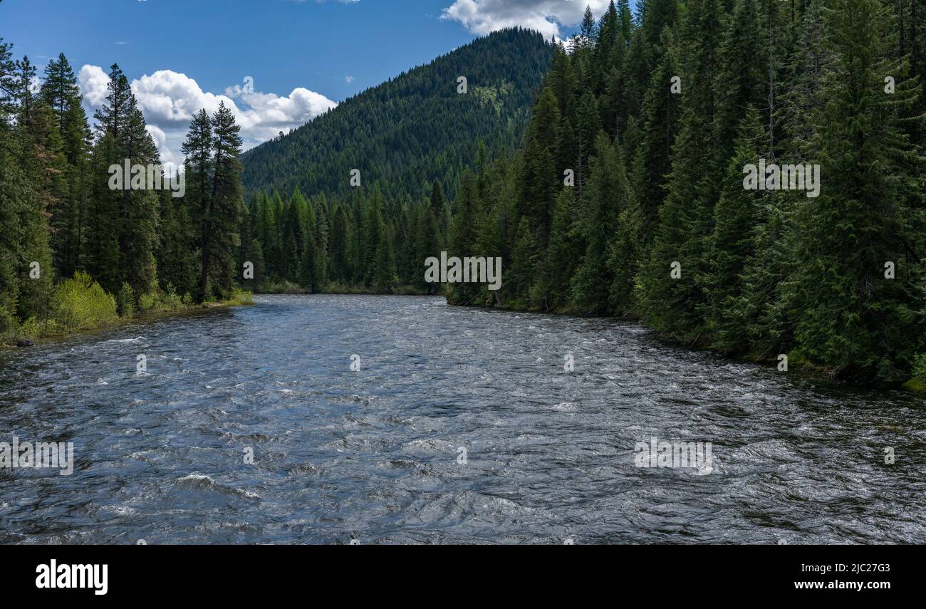 The Lochsa River in the Nez Perce-Clearwater National Forest in Idaho, seen from the bridge at the Split Creek Trailhead. Stock Photo