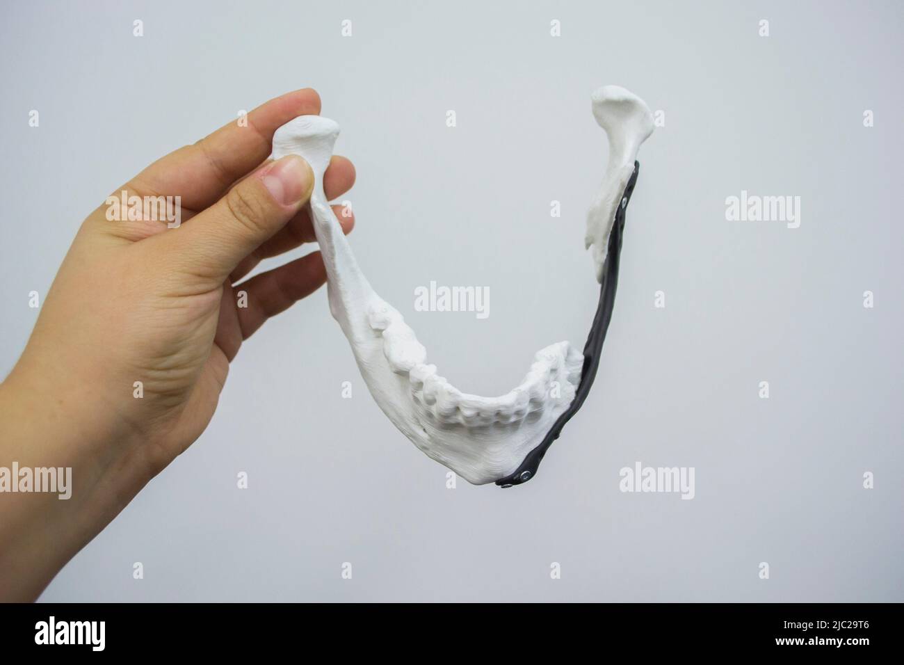 Person holding in hand facial mandibular endoprosthese printed on metal 3D printer from bionert titanium alloy close-up. 3D model bionic implants for maxillofacial Surgery. Lower jaw facial prostheses Stock Photo