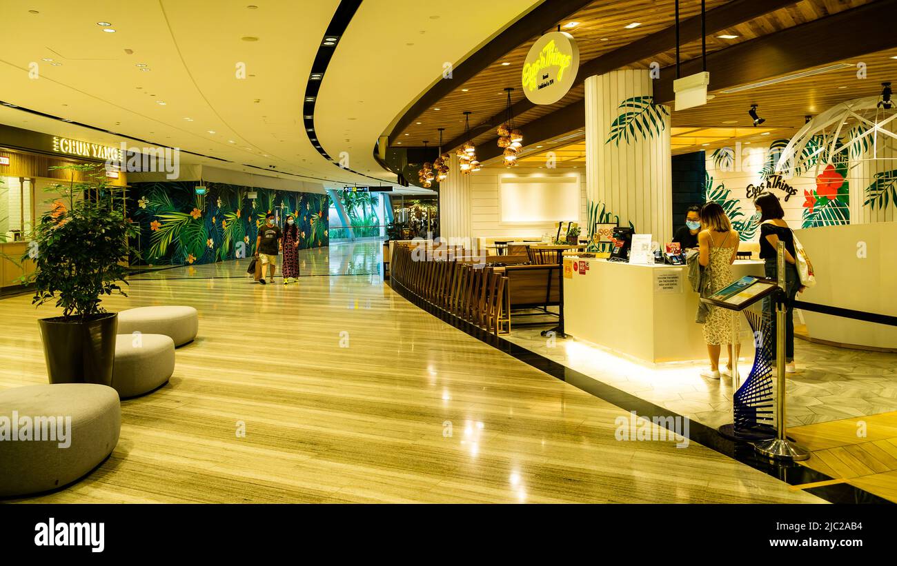 Singapore changi airport green wall hires stock photography and images