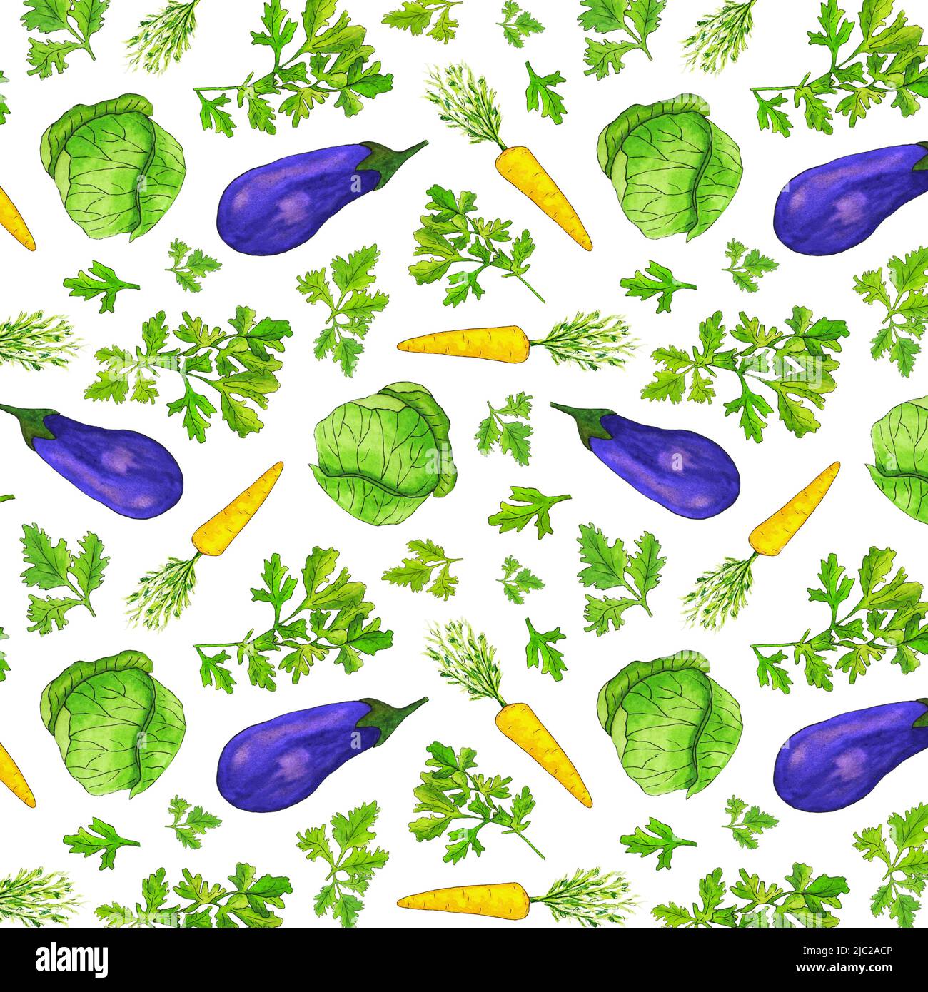Watercolor vegetable seamless pattern on white background. Vitamin Vegetable Pattern with Green Cabbage, Eggplant , Carrot and Parsley. Summer Salad. Stock Photo