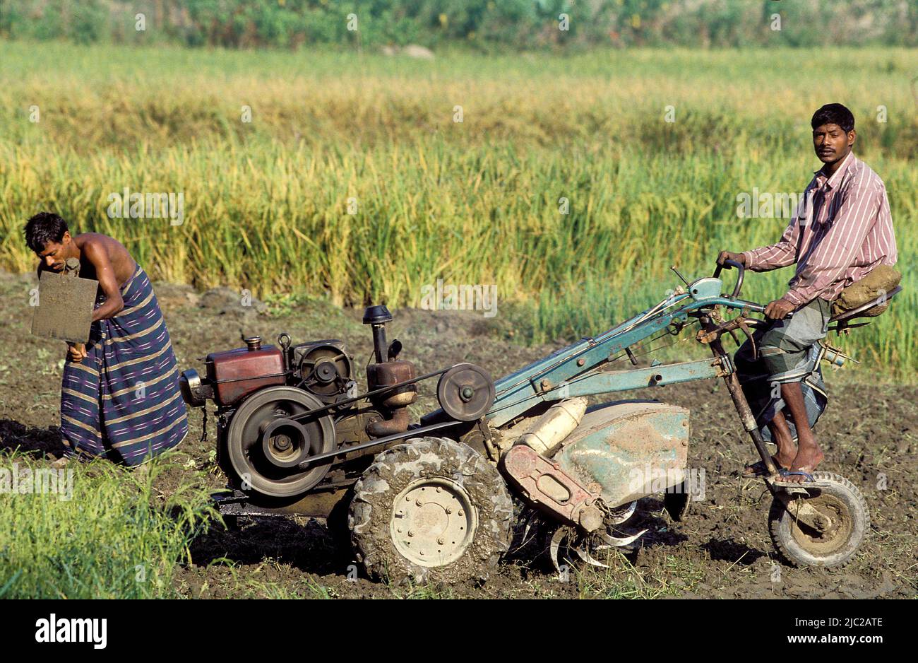 Bangladesh; farmer ploughing the soil with a motorised plough, other man is using a hoe. Stock Photo